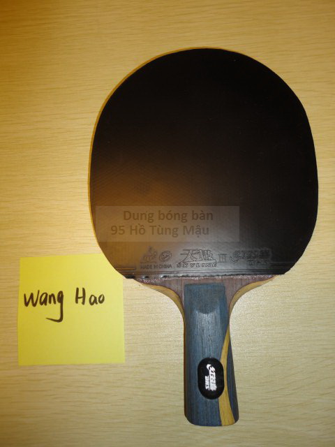 Vot WangHao 1