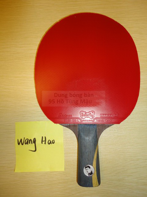 Vot WangHao2