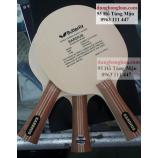 Sardius tamca mới về tại cửa hàng Dung Bóng Bàn