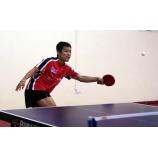 Giải bóng bàn toàn quốc Báo Nhân Dân 2011, tranh Cúp Dầu khí Việt Nam: Ngôi đầu cho lính mới?