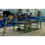 Tổng hợp những đoạn video bóng bàn trong nước 2010