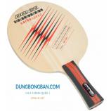 Top 6 vợt bóng bàn bán chạy nhất tại Dung Bóng Bàn năm 2020