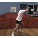 Tập hợp một số video dạy bóng bàn.