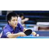 Việt Nam Bóng bàn nam với 6 tuyển thủ dự giải Đông Nam Á