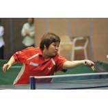 Kết thúc giải bóng bàn VĐQG 2011: TP.HCM thắng lớn