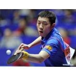 Zhang Jike chiến thắng tại Paris. Nhưng Xu Xin vẫn hạng 1 trong bảng xếp hạng thế giới bóng bàn