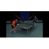 Video đào tạo bóng bàn của Waldner và Persson