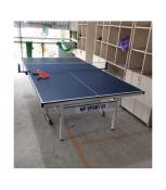 Bàn bóng bàn NP Sport 03