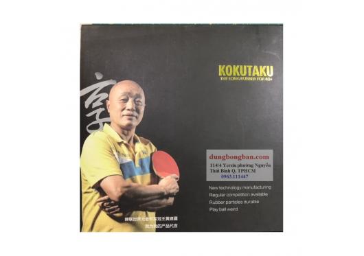 Gai Kokutaku 911 phiên bản Vương Kiến Cương