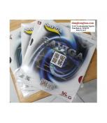 Saviga vòng xoay ác quỷ