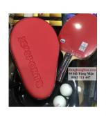 vợt bóng bàn dán sẳn 729 8 star 8 sao