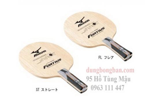 Mizuno Fortius