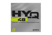 HY-Q 48