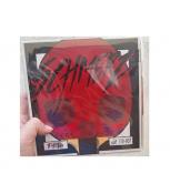 Gai Sauer Troger Schmerz