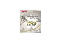 Evolution FXS
