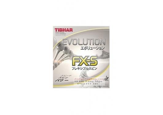 Evolution FXS