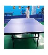 Bàn bóng bàn TMS 4625