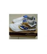 Giày mizuno rồng xanh