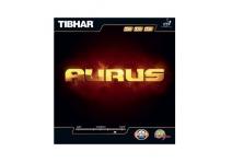 Tibhar Aurus