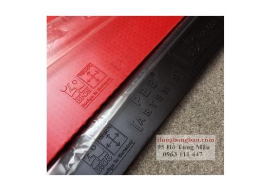 Mặt vợt bóng bàn rẻ tiền PBB