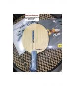 Combo Andro khuyên dùng