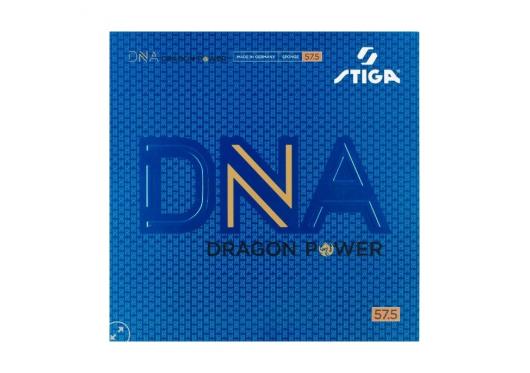 DNA DRAGON POWER