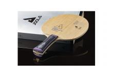 JOOLA VYZARYZ TRINITY