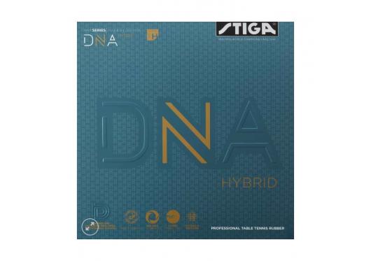 DNA HYBRID H