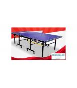 Bàn bóng bàn DHS 2010