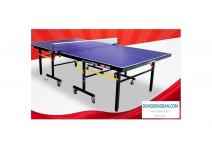 Bàn bóng bàn DHS 2010