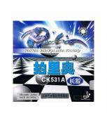 Gai dài Palio ck531a bìa xanh