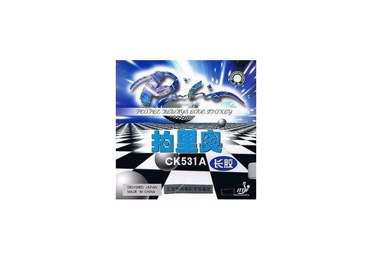 Gai dài Palio ck531a bìa xanh