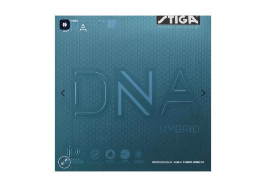 DNA HYBIRD M