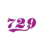 Thông số mặt vợt 729