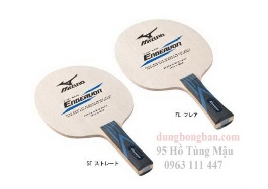 Mizuno Endeavor
