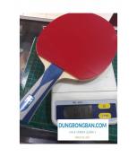Combo vợt bóng bàn cao cấp trọng lượng nhẹ