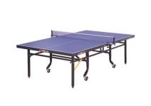 Bàn bóng bàn DHS 2024