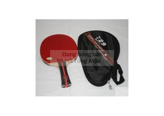 Vợt dán sẳn 729 1 star