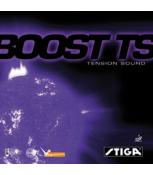 Boost TS