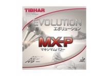EVOLUTION MXP