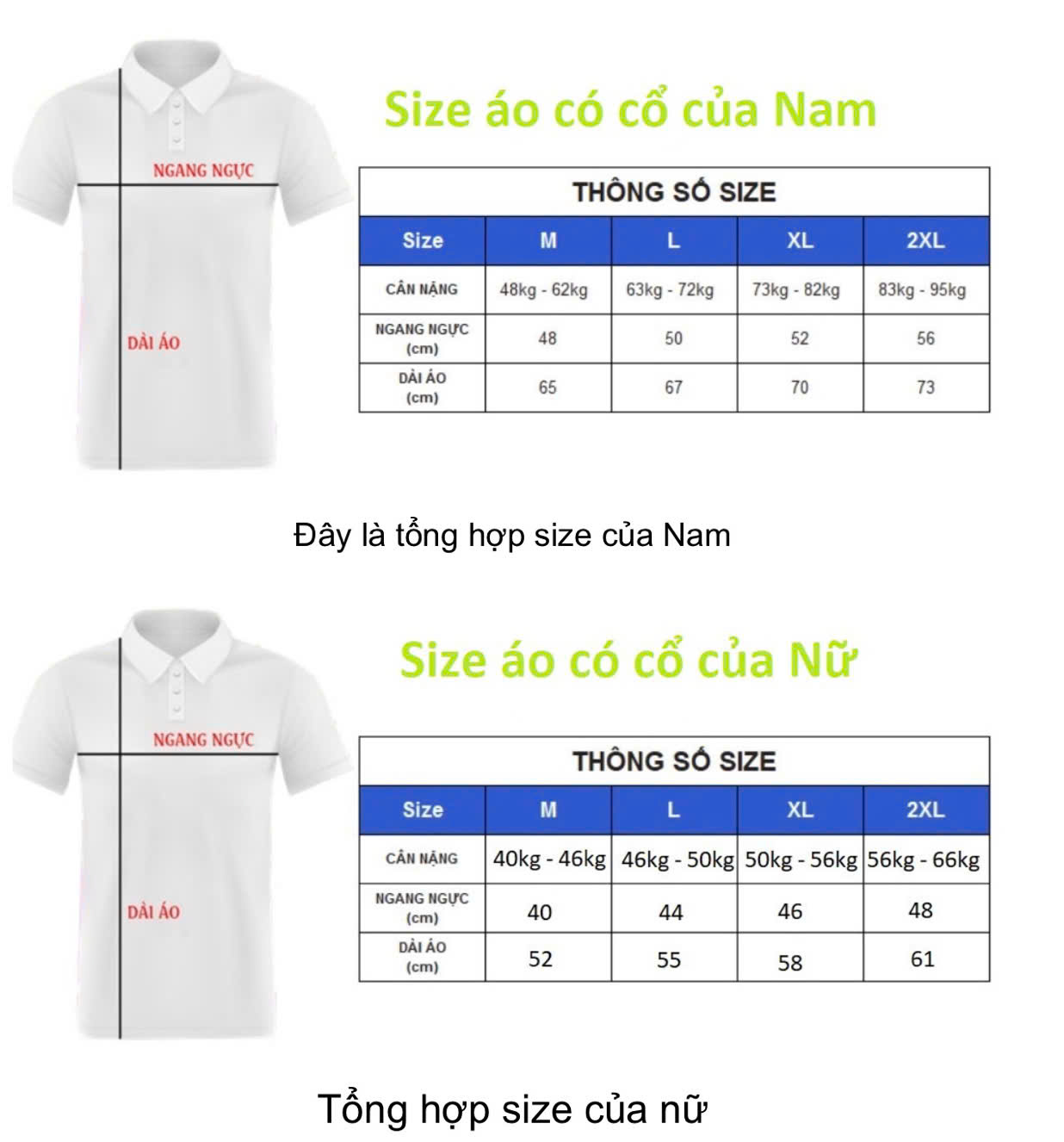 size áo