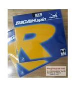 Rigan spin