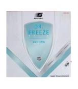 Anti Freeze