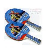 Butterfly Timo Boll 2000