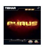 Tibhar Aurus