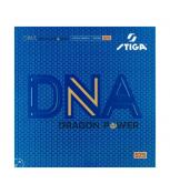 DNA DRAGON POWER