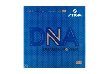 DNA DRAGON POWER