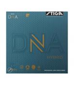 DNA HYBRID H