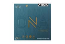 DNA HYBRID H