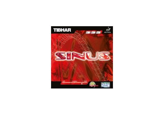 Tibhar Sinus